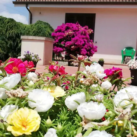 Cava Maria Relax